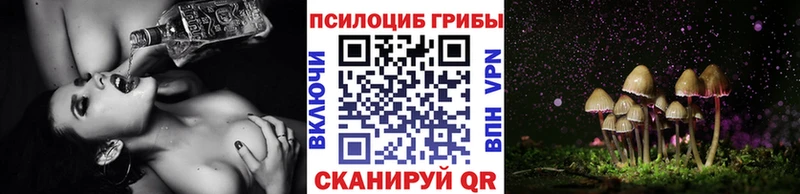 Псилоцибиновые грибы Psilocybine cubensis  Купить закладки  Тырныауз 