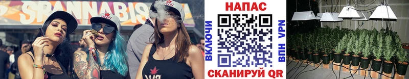 Купить закладки  Тырныауз  Канабис конопля 